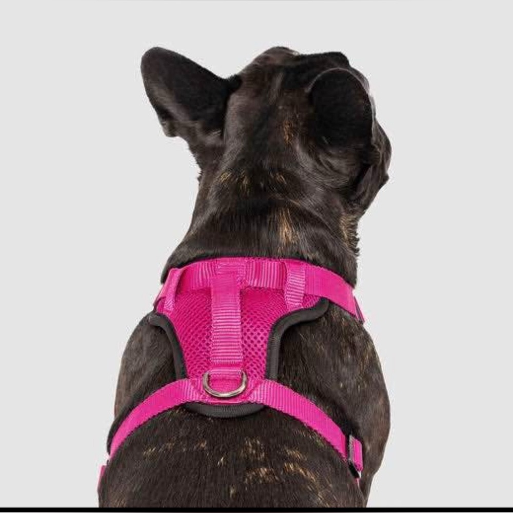 Canada Pooch Everything Dog Harness No-Pull Adjustable Dog Harness  XL